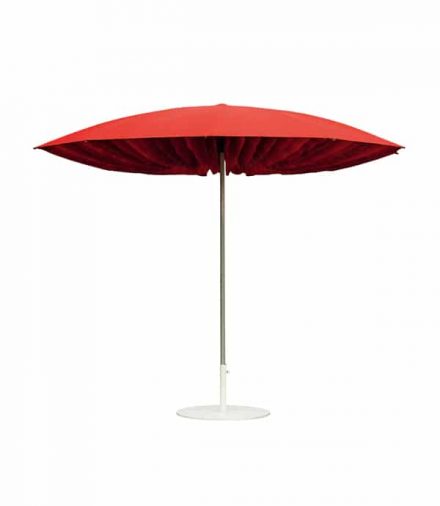 Parasols - Paddo