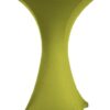 Festival type1 85cm kiwi