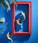 Frame 40 x 70 cm rood