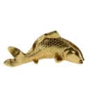 47627 Vis goud